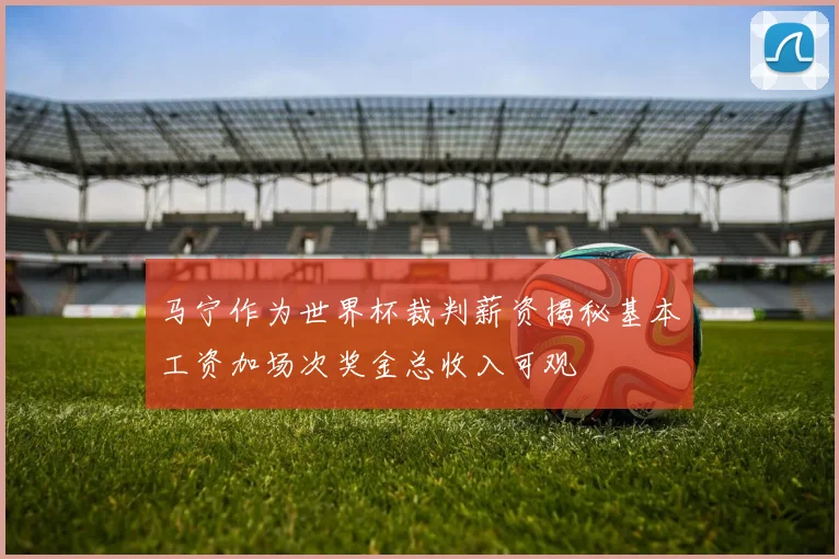 马宁作为世界杯裁判薪资揭秘基本工资加场次奖金总收入可观