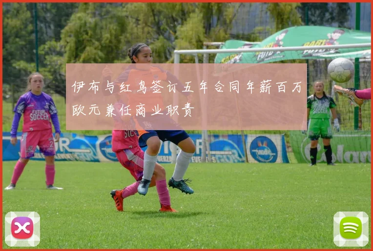 伊布与红鸟签订五年合同年薪百万欧元兼任商业职责