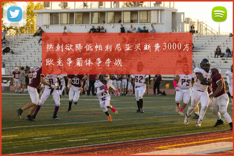 热刺欲降低帕利尼亚买断费3000万欧竞争葡体争夺战